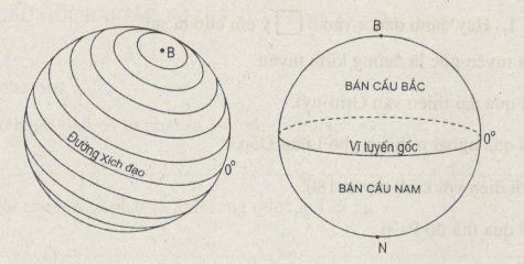 Bài 1: Vị trí, hình dạng và kích thước của Trái Đất - Câu 5 trang 7 Sách bài tập (SBT) Địa lí 6